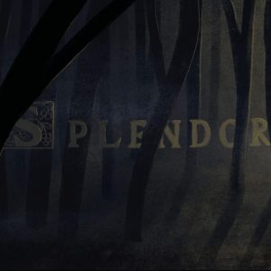 Spendor solis insta4