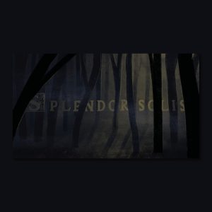 Spendor solis insta4